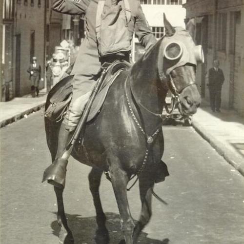 [Police officer and horse preparing to defy gas fumes during strike of 1934]