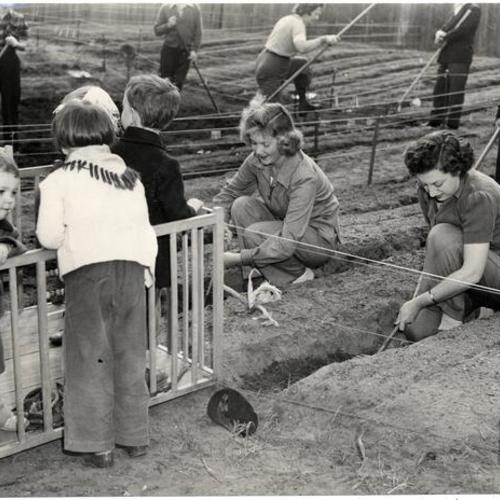 [Mothers with their kids in playpens working on Victory gardens]