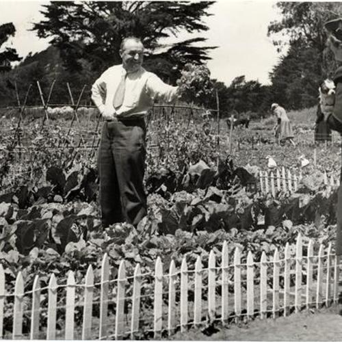 [Herbert Simon displays a head of lettuce to Mrs. Simon from a Victory Garden in Golden Gate  Park]