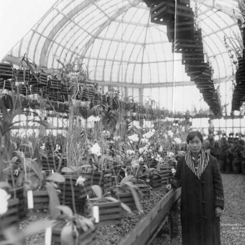 [Unidentified woman poses inside the Conservatory of Flowers in Golden Gate Park]