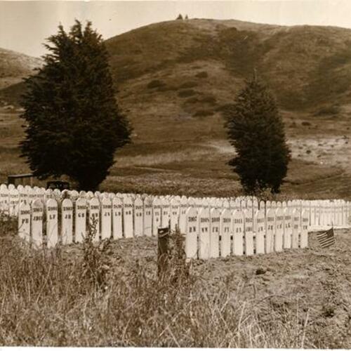 [Potters Field head stones in rows at Colma Cemetery]