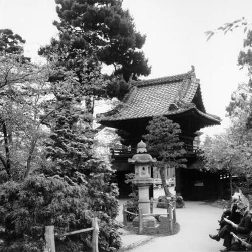 [Japanese Tea Garden]