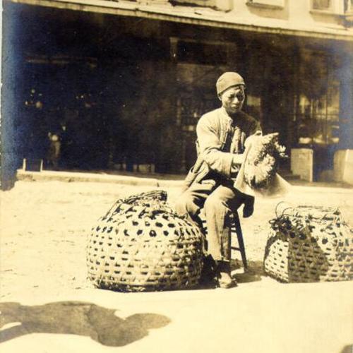 [Poultry peddler, Chinatown]