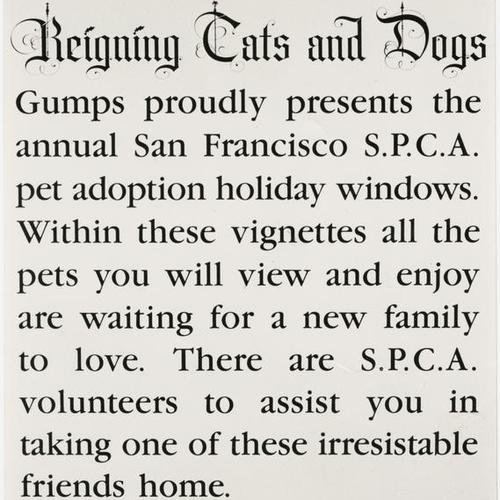 Gump's and SPCA Animal Adoption program description