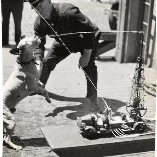 [Captain William Vandervort of the San Francisco Fire Department with Jiggs, the mascot of Truck 3]