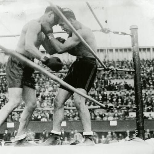[Boxer Young Corbett III boxing with Jackie Fields at Seals Stadium]