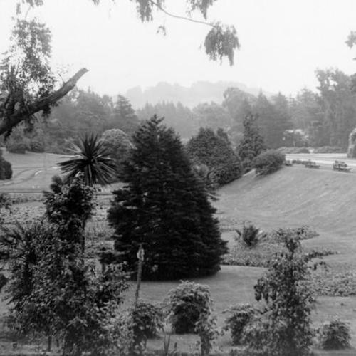[View of area in front of the Conservatory of Flowers in Golden Gate Park]