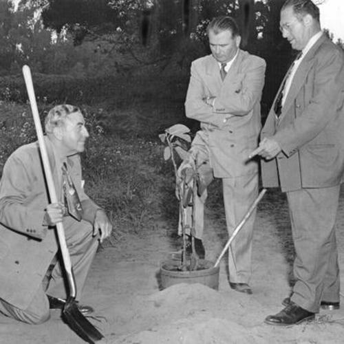 [Real estate developer, Henry Doelger, with associate, B. Poncetta, and Daly City councilman, Fred Bertetta, preparing to plant a fig tree on a future garden spot in Westlake]