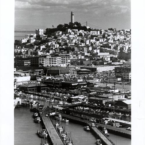 [View of San Francisco's North Beach from Fisherman's Wharf to Telegraph Hill]