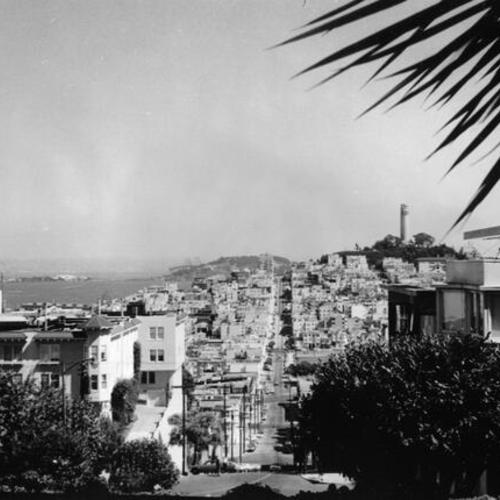 [View of Telegraph Hill and North Beach section of San Francisco from Hyde and Lombard streets]