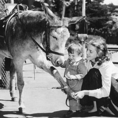 [John Bryson III and his mother visit Mary, the donkey, at the Children's Playground in Golden Gate Park]