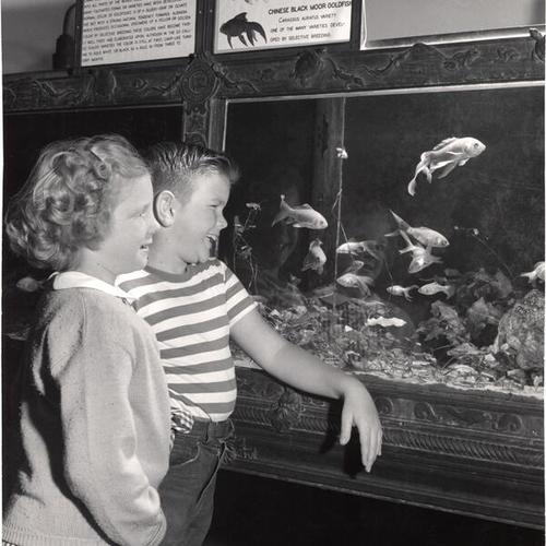 [Kids at the Steinhart Aquarium]