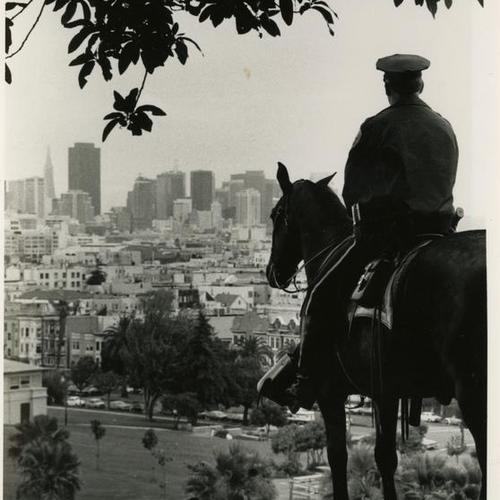 Mounted police unit looking over San Francisco park
