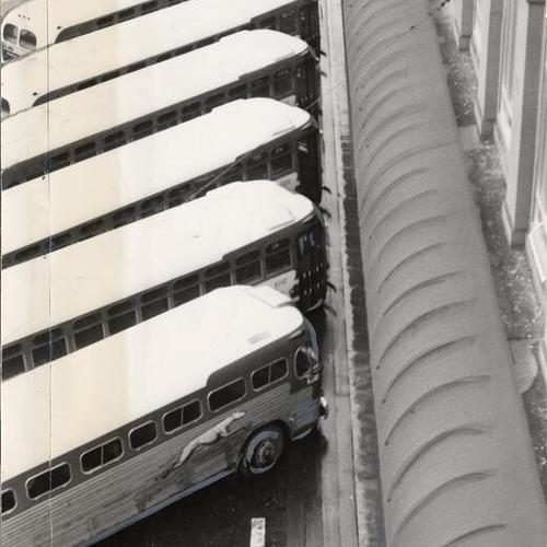 [Greyhound buses parked in front of the Ferry Building]