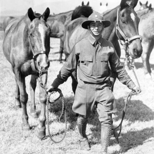 [Sgt. M. Camino of Seventy Sixth Field Artillery with mules]