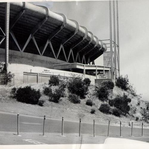 [Weeds surrounding the entrance of Candlestick Park]