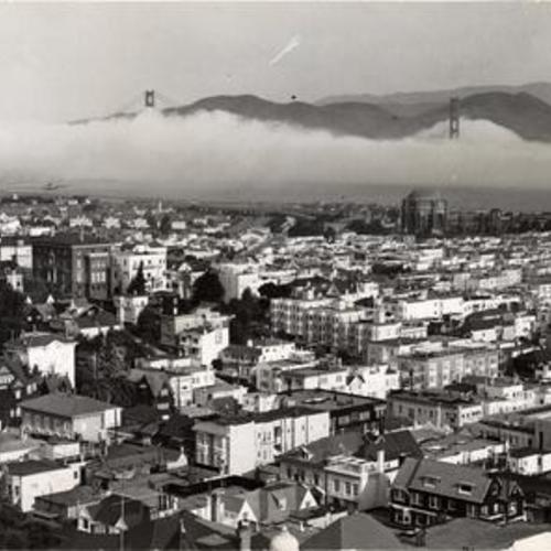 [View of the Marina District from Pacific Avenue and Fillmore Street]