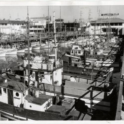 [Boats docked at the Fisherman's Wharf]