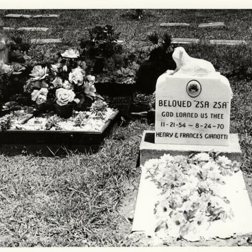 ["Beloved Zsa Zsa" tombstone at Pet's Rest cemetery in Colma]