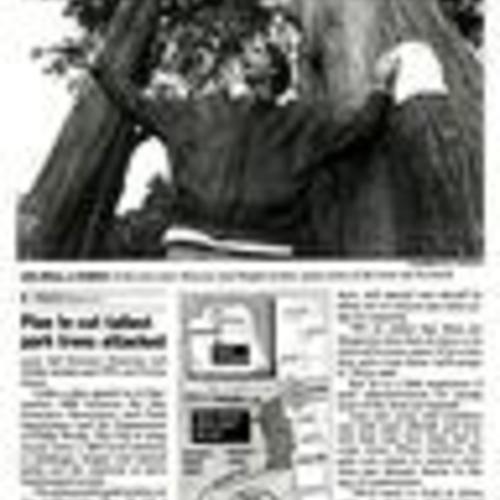 City's Plan to Cut Tallest Trees..., SF Examiner, Dec. 4 1997