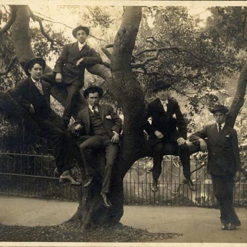 [Five men sitting in a tree near the Haight Street entrance to Golden Gate Park]