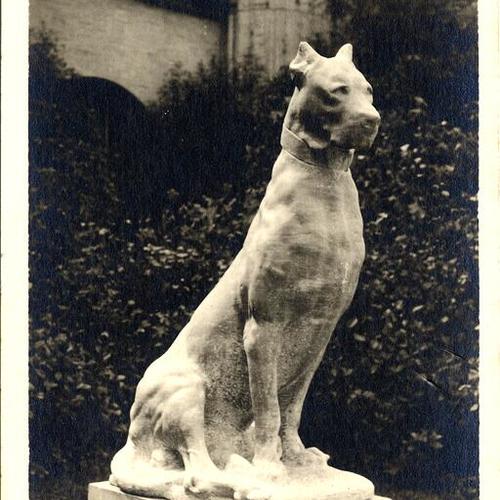 [Great Dane at the Panama-Pacific International Exposition]