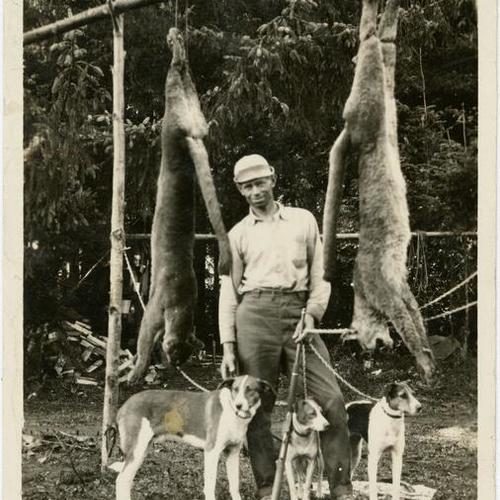 [Kill the panther and save the deer, Crescent City Cal. A man poses for the camera holding a riffle on his left hand and three dogs on a metal leash while two dead panthers are hung on tree branches upside down by a rope around their hind legs]
