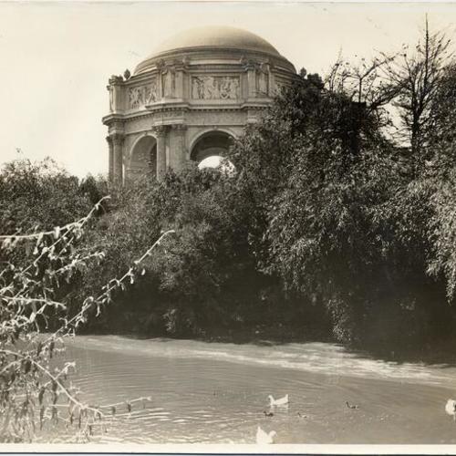 [Rotunda of Palace of Fine Arts surrounded by shrubbery swans in the lagoon]