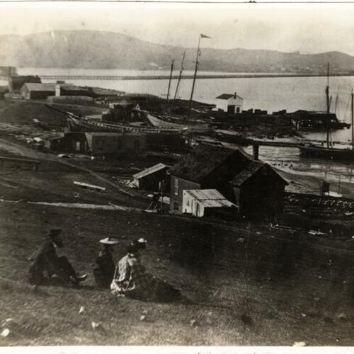 [Hunters Point, 1866]