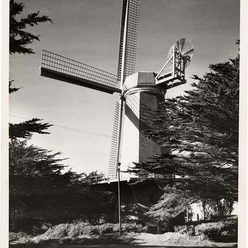[Old Dutch Mill, Murphy Windmill]