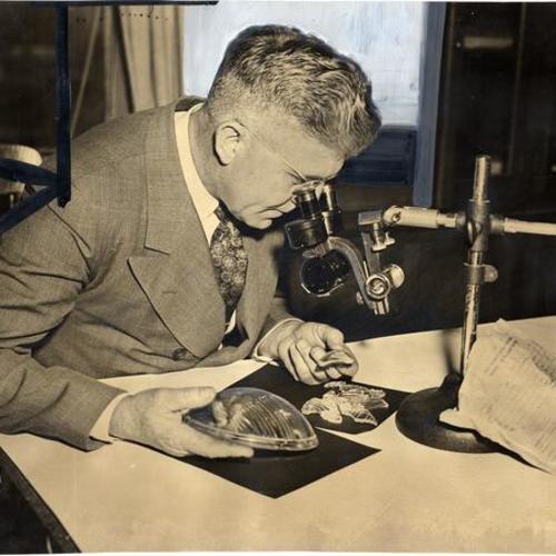 [Police officer Francis X. Latulipe, Jr. examining glass found at the scene with a microscope.]