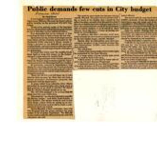 Public demands few cuts in City budget