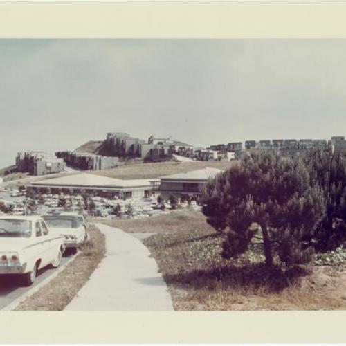 [Diamond Heights hillside with houses, cars and bushes in foreground]
