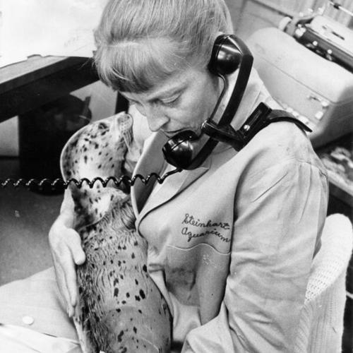 [Phyllis Corbin cradles "Cecilia", a freckled harbor seal, adopted by the Steinhart Aquarium]