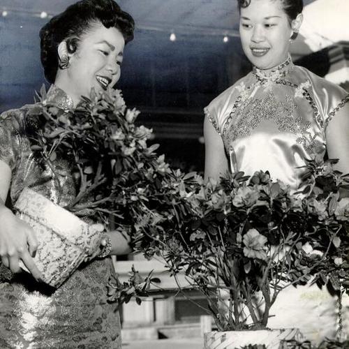 [Eva Wong and Mary Jane Dea shopping for large azaleas]