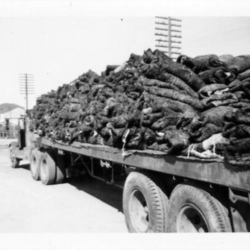 [Flatbed truck carrying a large payload through Visitacion Valley]