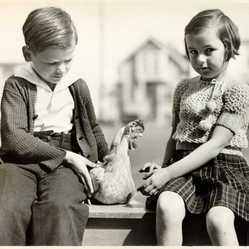 [McCoppin School students Walter and Gloria Delucchi with their pet chicken, "Chickie"]