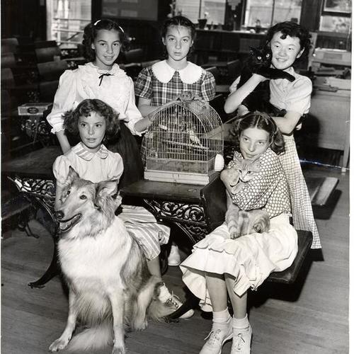 [Students at Douglas School posing with their pets]