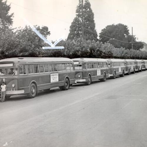 [Line of Muni buses parked on Third Street]