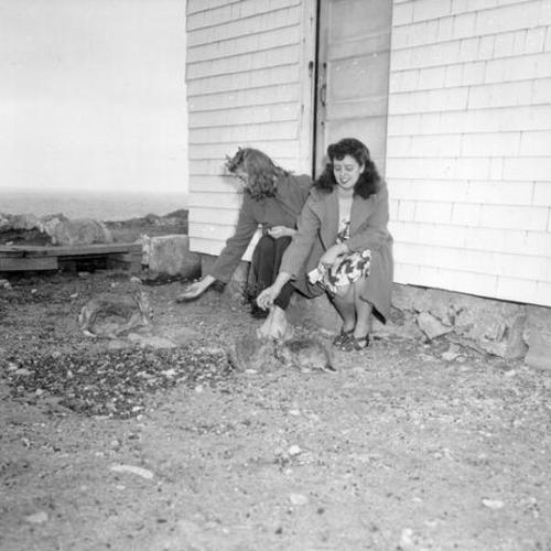 [Two women feeding rabbits on an island in the Farallones]