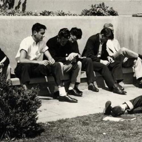 [Students studying outside at San Francisco Junior College]