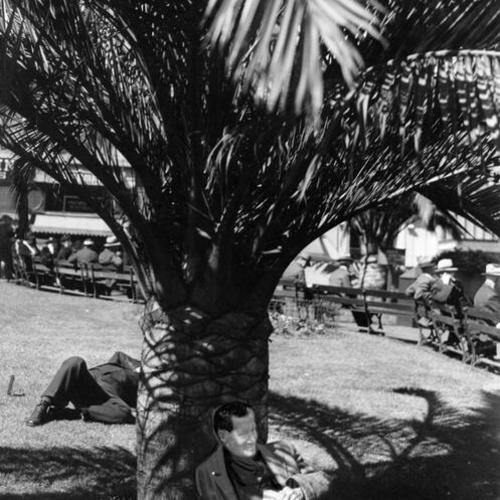 [Man relaxing underneath tree in Union Square Park]