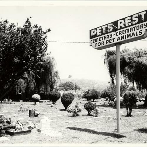 ["Pet's Rest Cemetery - Crematory for Pet Animals" in Colma]