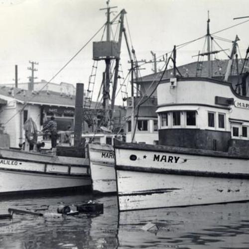 [Fishing boats at Fisherman's Wharf]