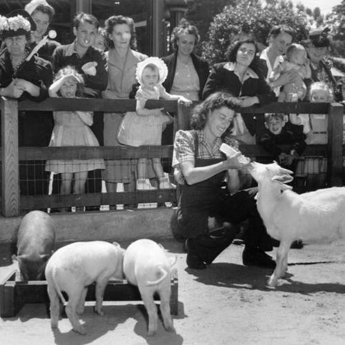 [Mrs. Elinor Holling feeding goats at Children's Playground in Golden Gate Park]