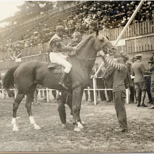 [Jockey H. Roberts on "Laay Nini" during horse race at the Panama-Pacific International Exposition]