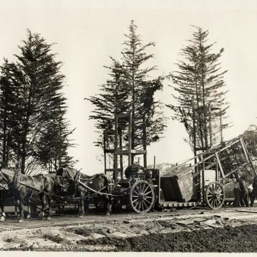 [Transporting redwoods by horses, Panama-Pacific International Exposition]