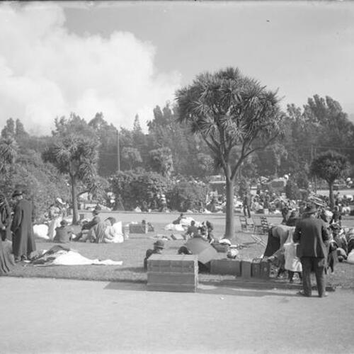 [People take refuge in a park after the 1906 earthquake and fire]