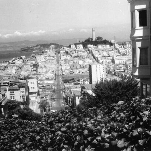 [View of Telegraph Hill and North Beach section of San Francisco from Hyde and Lombard streets]
