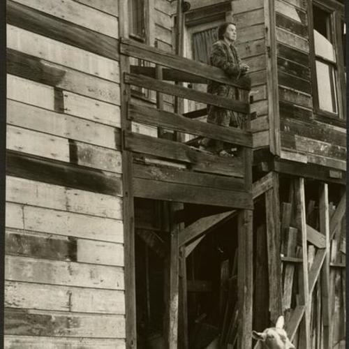 [Estelle West and two of her eighteen goats at her Potrero District home]